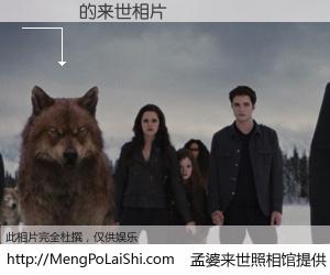 #孟婆来世照相馆# 【陳貞穎 来世的未来相片】一碗梦婆汤，忘却了今生爱与痛，了无牵挂进入轮回。再相遇，已是天涯陌路人。可否借我一双慧眼，看清今生与来世？孟婆来世照相馆，触摸你的未来。陳貞穎 来世的未来相片，有图有真相：