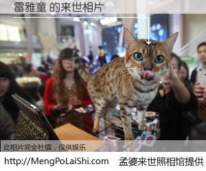 #孟婆来世照相馆# 【雷雅童 来世的未来相片】一碗梦婆汤，忘却了今生爱与痛，了无牵挂进入轮回。再相遇，已是天涯陌路人。可否借我一双慧眼，看清今生与来世？孟婆来世照相馆，触摸你的未来。雷雅童 来世的未来相片，有图有真相：