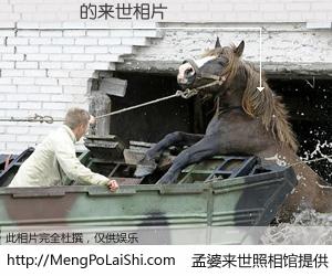 #孟婆来世照相馆# 【顏達龍 来世的未来相片】一碗梦婆汤，忘却了今生爱与痛，了无牵挂进入轮回。再相遇，已是天涯陌路人。可否借我一双慧眼，看清今生与来世？孟婆来世照相馆，触摸你的未来。顏達龍 来世的未来相片，有图有真相：