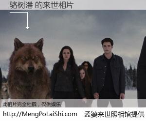 #孟婆来世照相馆# 【骆树潘 来世的未来相片】一碗梦婆汤，忘却了今生爱与痛，了无牵挂进入轮回。再相遇，已是天涯陌路人。可否借我一双慧眼，看清今生与来世？孟婆来世照相馆，触摸你的未来。骆树潘 来世的未来相片，有图有真相：