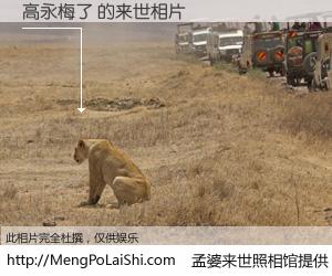 #孟婆来世照相馆# 【高永梅了 来世的未来相片】一碗梦婆汤，忘却了今生爱与痛，了无牵挂进入轮回。再相遇，已是天涯陌路人。可否借我一双慧眼，看清今生与来世？孟婆来世照相馆，触摸你的未来。高永梅了 来世的未来相片，有图有真相：