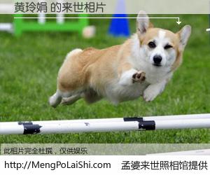 #孟婆来世照相馆# 【黄玲娟 来世的未来相片】一碗梦婆汤，忘却了今生爱与痛，了无牵挂进入轮回。再相遇，已是天涯陌路人。可否借我一双慧眼，看清今生与来世？孟婆来世照相馆，触摸你的未来。黄玲娟 来世的未来相片，有图有真相：