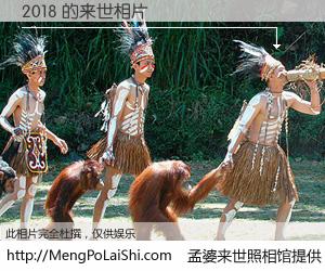 #孟婆来世照相馆# 【2018 来世的未来相片】一碗梦婆汤，忘却了今生爱与痛，了无牵挂进入轮回。再相遇，已是天涯陌路人。可否借我一双慧眼，看清今生与来世？孟婆来世照相馆，触摸你的未来。2018 来世的未来相片，有图有真相：