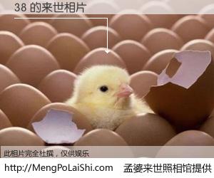 #孟婆来世照相馆# 【38 来世的未来相片】一碗梦婆汤，忘却了今生爱与痛，了无牵挂进入轮回。再相遇，已是天涯陌路人。可否借我一双慧眼，看清今生与来世？孟婆来世照相馆，触摸你的未来。38 来世的未来相片，有图有真相：