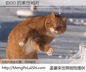 #孟婆来世照相馆# 【IDOO 来世的未来相片】一碗梦婆汤，忘却了今生爱与痛，了无牵挂进入轮回。再相遇，已是天涯陌路人。可否借我一双慧眼，看清今生与来世？孟婆来世照相馆，触摸你的未来。IDOO 来世的未来相片，有图有真相：