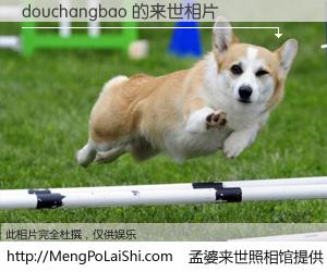 #孟婆来世照相馆# 【douchangbao 来世的未来相片】一碗梦婆汤，忘却了今生爱与痛，了无牵挂进入轮回。再相遇，已是天涯陌路人。可否借我一双慧眼，看清今生与来世？孟婆来世照相馆，触摸你的未来。douchangbao 来世的未来相片，有图有真相：