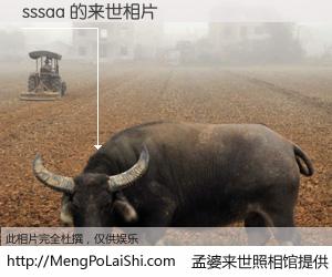 #孟婆来世照相馆# 【sssaa 来世的未来相片】一碗梦婆汤，忘却了今生爱与痛，了无牵挂进入轮回。再相遇，已是天涯陌路人。可否借我一双慧眼，看清今生与来世？孟婆来世照相馆，触摸你的未来。sssaa 来世的未来相片，有图有真相：