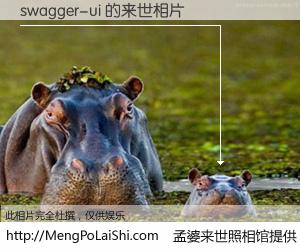 #孟婆来世照相馆# 【swagger-ui 来世的未来相片】一碗梦婆汤，忘却了今生爱与痛，了无牵挂进入轮回。再相遇，已是天涯陌路人。可否借我一双慧眼，看清今生与来世？孟婆来世照相馆，触摸你的未来。swagger-ui 来世的未来相片，有图有真相：