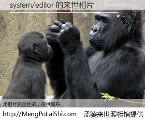 #孟婆来世照相馆# 【system/editor 来世的未来相片】一碗梦婆汤，忘却了今生爱与痛，了无牵挂进入轮回。再相遇，已是天涯陌路人。可否借我一双慧眼，看清今生与来世？孟婆来世照相馆，触摸你的未来。system/editor 来世的未来相片，有图有真相：