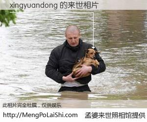 #孟婆来世照相馆# 【xingyuandong 来世的未来相片】一碗梦婆汤，忘却了今生爱与痛，了无牵挂进入轮回。再相遇，已是天涯陌路人。可否借我一双慧眼，看清今生与来世？孟婆来世照相馆，触摸你的未来。xingyuandong 来世的未来相片，有图有真相：