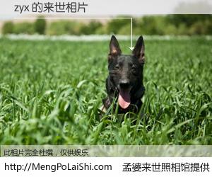 #孟婆来世照相馆# 【zyx 来世的未来相片】一碗梦婆汤，忘却了今生爱与痛，了无牵挂进入轮回。再相遇，已是天涯陌路人。可否借我一双慧眼，看清今生与来世？孟婆来世照相馆，触摸你的未来。zyx 来世的未来相片，有图有真相：