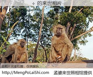 #åŸå©†æ¥ä¸–照相馆# ã€ÎâÏşç÷ æ¥ä¸–的未æ¥ç›¸ç‰‡ã€‘一碗梦婆汤,忘å´äº†ä»Šç”Ÿçˆ±ä¸ç—›ï¼Œäº†æ— 牵挂进入轮å›ã€‚å†ç›¸é‡ï¼Œå·²æ˜¯å¤©æ¶¯é™Œè·¯äººã€‚å¯å¦å€Ÿæˆ‘ä¸€åŒæ…§çœ¼ï¼Œçœ‹æ¸…ä»Šç”Ÿä¸æ¥ä¸–?åŸå©†æ¥ä¸–ç…§ç›¸é¦†ï¼Œè§¦æ‘¸ä½ çš„æœªæ¥ã€‚ÎâÏşç÷ æ¥ä¸–的未æ¥ç›¸ç‰‡ï¼Œæœ‰å›¾æœ‰çœŸç›¸ï¼š