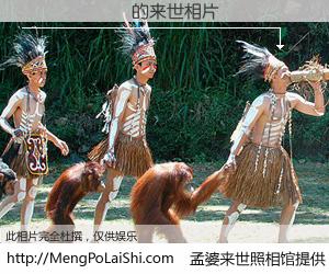 #孟婆来世照相馆# 【������ 来世的未来相片】一碗梦婆汤，忘却了今生爱与痛，了无牵挂进入轮回。再相遇，已是天涯陌路人。可否借我一双慧眼，看清今生与来世？孟婆来世照相馆，触摸你的未来。������ 来世的未来相片，有图有真相：