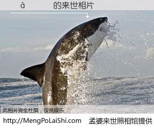 #孟婆来世照相馆# 【���ǫ 来世的未来相片】一碗梦婆汤，忘却了今生爱与痛，了无牵挂进入轮回。再相遇，已是天涯陌路人。可否借我一双慧眼，看清今生与来世？孟婆来世照相馆，触摸你的未来。���ǫ 来世的未来相片，有图有真相：