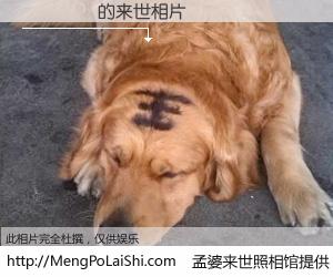 #孟婆来世照相馆# 【��Է� 来世的未来相片】一碗梦婆汤，忘却了今生爱与痛，了无牵挂进入轮回。再相遇，已是天涯陌路人。可否借我一双慧眼，看清今生与来世？孟婆来世照相馆，触摸你的未来。��Է� 来世的未来相片，有图有真相：