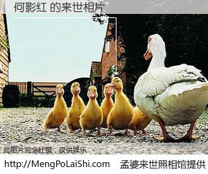#孟婆来世照相馆# 【何影红 来世的未来相片】一碗梦婆汤，忘却了今生爱与痛，了无牵挂进入轮回。再相遇，已是天涯陌路人。可否借我一双慧眼，看清今生与来世？孟婆来世照相馆，触摸你的未来。何影红 来世的未来相片，有图有真相：
