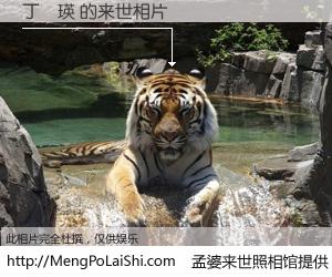 #孟婆来世照相馆# 【丁國瑛 来世的未来相片】一碗梦婆汤，忘却了今生爱与痛，了无牵挂进入轮回。再相遇，已是天涯陌路人。可否借我一双慧眼，看清今生与来世？孟婆来世照相馆，触摸你的未来。丁國瑛 来世的未来相片，有图有真相：