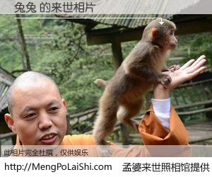 #孟婆来世照相馆# 【兔兔 来世的未来相片】一碗梦婆汤，忘却了今生爱与痛，了无牵挂进入轮回。再相遇，已是天涯陌路人。可否借我一双慧眼，看清今生与来世？孟婆来世照相馆，触摸你的未来。兔兔 来世的未来相片，有图有真相：