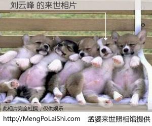 #孟婆来世照相馆# 【刘云峰 来世的未来相片】一碗梦婆汤，忘却了今生爱与痛，了无牵挂进入轮回。再相遇，已是天涯陌路人。可否借我一双慧眼，看清今生与来世？孟婆来世照相馆，触摸你的未来。刘云峰 来世的未来相片，有图有真相：