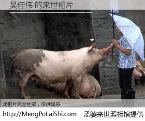 #孟婆来世照相馆# 【吴佳伟 来世的未来相片】一碗梦婆汤，忘却了今生爱与痛，了无牵挂进入轮回。再相遇，已是天涯陌路人。可否借我一双慧眼，看清今生与来世？孟婆来世照相馆，触摸你的未来。吴佳伟 来世的未来相片，有图有真相：