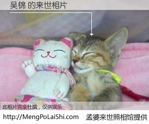#孟婆来世照相馆# 【吴锦 来世的未来相片】一碗梦婆汤，忘却了今生爱与痛，了无牵挂进入轮回。再相遇，已是天涯陌路人。可否借我一双慧眼，看清今生与来世？孟婆来世照相馆，触摸你的未来。吴锦 来世的未来相片，有图有真相：