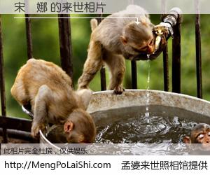 #孟婆来世照相馆# 【宋愛娜 来世的未来相片】一碗梦婆汤，忘却了今生爱与痛，了无牵挂进入轮回。再相遇，已是天涯陌路人。可否借我一双慧眼，看清今生与来世？孟婆来世照相馆，触摸你的未来。宋愛娜 来世的未来相片，有图有真相：