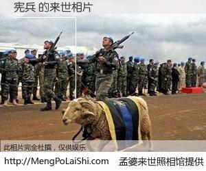 #孟婆来世照相馆# 【宪兵 来世的未来相片】一碗梦婆汤，忘却了今生爱与痛，了无牵挂进入轮回。再相遇，已是天涯陌路人。可否借我一双慧眼，看清今生与来世？孟婆来世照相馆，触摸你的未来。宪兵 来世的未来相片，有图有真相：