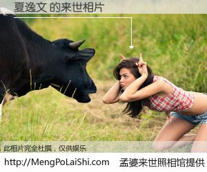 #孟婆来世照相馆# 【夏逸文 来世的未来相片】一碗梦婆汤，忘却了今生爱与痛，了无牵挂进入轮回。再相遇，已是天涯陌路人。可否借我一双慧眼，看清今生与来世？孟婆来世照相馆，触摸你的未来。夏逸文 来世的未来相片，有图有真相：