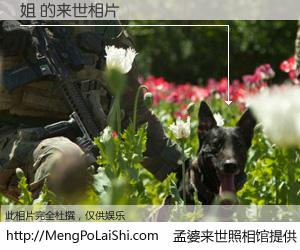 #孟婆来世照相馆# 【姐 来世的未来相片】一碗梦婆汤，忘却了今生爱与痛，了无牵挂进入轮回。再相遇，已是天涯陌路人。可否借我一双慧眼，看清今生与来世？孟婆来世照相馆，触摸你的未来。姐 来世的未来相片，有图有真相：