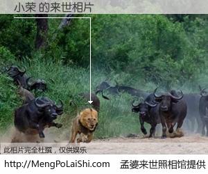 #孟婆来世照相馆# 【小荣 来世的未来相片】一碗梦婆汤，忘却了今生爱与痛，了无牵挂进入轮回。再相遇，已是天涯陌路人。可否借我一双慧眼，看清今生与来世？孟婆来世照相馆，触摸你的未来。小荣 来世的未来相片，有图有真相：