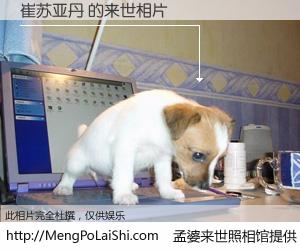 #孟婆来世照相馆# 【崔苏亚丹 来世的未来相片】一碗梦婆汤，忘却了今生爱与痛，了无牵挂进入轮回。再相遇，已是天涯陌路人。可否借我一双慧眼，看清今生与来世？孟婆来世照相馆，触摸你的未来。崔苏亚丹 来世的未来相片，有图有真相：