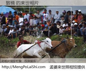 #孟婆来世照相馆# 【敦楠 来世的未来相片】一碗梦婆汤，忘却了今生爱与痛，了无牵挂进入轮回。再相遇，已是天涯陌路人。可否借我一双慧眼，看清今生与来世？孟婆来世照相馆，触摸你的未来。敦楠 来世的未来相片，有图有真相：