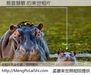 #孟婆来世照相馆# 【易曾慧敏 来世的未来相片】一碗梦婆汤，忘却了今生爱与痛，了无牵挂进入轮回。再相遇，已是天涯陌路人。可否借我一双慧眼，看清今生与来世？孟婆来世照相馆，触摸你的未来。易曾慧敏 来世的未来相片，有图有真相：