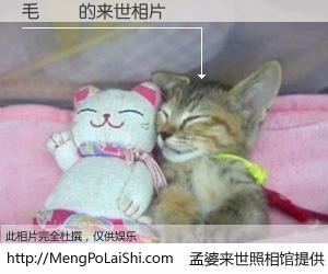 #孟婆来世照相馆# 【毛澤東 来世的未来相片】一碗梦婆汤，忘却了今生爱与痛，了无牵挂进入轮回。再相遇，已是天涯陌路人。可否借我一双慧眼，看清今生与来世？孟婆来世照相馆，触摸你的未来。毛澤東 来世的未来相片，有图有真相：