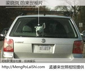 #孟婆来世照相馆# 【梁晓岚 来世的未来相片】一碗梦婆汤，忘却了今生爱与痛，了无牵挂进入轮回。再相遇，已是天涯陌路人。可否借我一双慧眼，看清今生与来世？孟婆来世照相馆，触摸你的未来。梁晓岚 来世的未来相片，有图有真相：