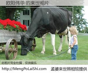 #孟婆来世照相馆# 【欧阳伟华 来世的未来相片】一碗梦婆汤，忘却了今生爱与痛，了无牵挂进入轮回。再相遇，已是天涯陌路人。可否借我一双慧眼，看清今生与来世？孟婆来世照相馆，触摸你的未来。欧阳伟华 来世的未来相片，有图有真相：
