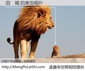 #孟婆来世照相馆# 【田偉城 来世的未来相片】一碗梦婆汤，忘却了今生爱与痛，了无牵挂进入轮回。再相遇，已是天涯陌路人。可否借我一双慧眼，看清今生与来世？孟婆来世照相馆，触摸你的未来。田偉城 来世的未来相片，有图有真相：