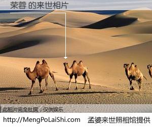 #孟婆来世照相馆# 【荣蓉 来世的未来相片】一碗梦婆汤，忘却了今生爱与痛，了无牵挂进入轮回。再相遇，已是天涯陌路人。可否借我一双慧眼，看清今生与来世？孟婆来世照相馆，触摸你的未来。荣蓉 来世的未来相片，有图有真相：