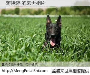 #孟婆来世照相馆# 【蒋晓婷 来世的未来相片】一碗梦婆汤，忘却了今生爱与痛，了无牵挂进入轮回。再相遇，已是天涯陌路人。可否借我一双慧眼，看清今生与来世？孟婆来世照相馆，触摸你的未来。蒋晓婷 来世的未来相片，有图有真相：