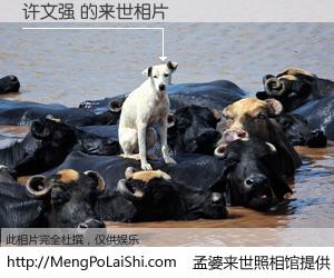 #孟婆来世照相馆# 【许文强 来世的未来相片】一碗梦婆汤，忘却了今生爱与痛，了无牵挂进入轮回。再相遇，已是天涯陌路人。可否借我一双慧眼，看清今生与来世？孟婆来世照相馆，触摸你的未来。许文强 来世的未来相片，有图有真相：