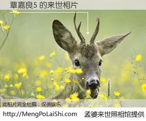 #孟婆来世照相馆# 【覃嘉良5 来世的未来相片】一碗梦婆汤，忘却了今生爱与痛，了无牵挂进入轮回。再相遇，已是天涯陌路人。可否借我一双慧眼，看清今生与来世？孟婆来世照相馆，触摸你的未来。覃嘉良5 来世的未来相片，有图有真相：
