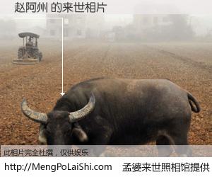 #孟婆来世照相馆# 【赵阿州 来世的未来相片】一碗梦婆汤，忘却了今生爱与痛，了无牵挂进入轮回。再相遇，已是天涯陌路人。可否借我一双慧眼，看清今生与来世？孟婆来世照相馆，触摸你的未来。赵阿州 来世的未来相片，有图有真相：