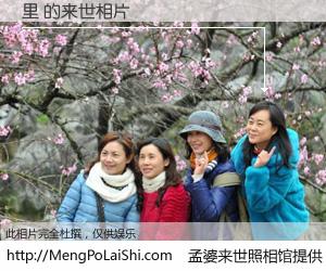 #孟婆来世照相馆# 【里 来世的未来相片】一碗梦婆汤，忘却了今生爱与痛，了无牵挂进入轮回。再相遇，已是天涯陌路人。可否借我一双慧眼，看清今生与来世？孟婆来世照相馆，触摸你的未来。里 来世的未来相片，有图有真相：