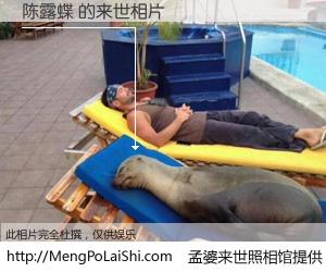 #孟婆来世照相馆# 【陈露蝶 来世的未来相片】一碗梦婆汤，忘却了今生爱与痛，了无牵挂进入轮回。再相遇，已是天涯陌路人。可否借我一双慧眼，看清今生与来世？孟婆来世照相馆，触摸你的未来。陈露蝶 来世的未来相片，有图有真相：