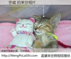 #孟婆来世照相馆# 【陳宇崴 来世的未来相片】一碗梦婆汤，忘却了今生爱与痛，了无牵挂进入轮回。再相遇，已是天涯陌路人。可否借我一双慧眼，看清今生与来世？孟婆来世照相馆，触摸你的未来。陳宇崴 来世的未来相片，有图有真相：