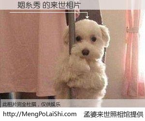 #孟婆来世照相馆# 【陳姻糸秀 来世的未来相片】一碗梦婆汤，忘却了今生爱与痛，了无牵挂进入轮回。再相遇，已是天涯陌路人。可否借我一双慧眼，看清今生与来世？孟婆来世照相馆，触摸你的未来。陳姻糸秀 来世的未来相片，有图有真相：