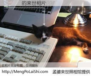 #孟婆来世照相馆# 【龍啟聖 来世的未来相片】一碗梦婆汤，忘却了今生爱与痛，了无牵挂进入轮回。再相遇，已是天涯陌路人。可否借我一双慧眼，看清今生与来世？孟婆来世照相馆，触摸你的未来。龍啟聖 来世的未来相片，有图有真相：