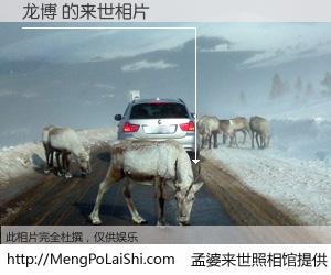 #孟婆来世照相馆# 【龙博 来世的未来相片】一碗梦婆汤，忘却了今生爱与痛，了无牵挂进入轮回。再相遇，已是天涯陌路人。可否借我一双慧眼，看清今生与来世？孟婆来世照相馆，触摸你的未来。龙博 来世的未来相片，有图有真相：