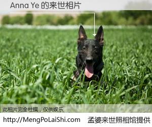 #孟婆来世照相馆# 【Anna Ye 来世的未来相片】一碗梦婆汤，忘却了今生爱与痛，了无牵挂进入轮回。再相遇，已是天涯陌路人。可否借我一双慧眼，看清今生与来世？孟婆来世照相馆，触摸你的未来。Anna Ye 来世的未来相片，有图有真相：