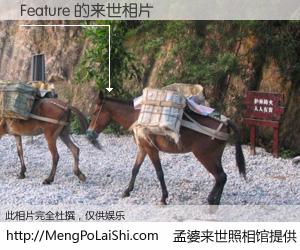 #孟婆来世照相馆# 【Feature 来世的未来相片】一碗梦婆汤，忘却了今生爱与痛，了无牵挂进入轮回。再相遇，已是天涯陌路人。可否借我一双慧眼，看清今生与来世？孟婆来世照相馆，触摸你的未来。Feature 来世的未来相片，有图有真相：